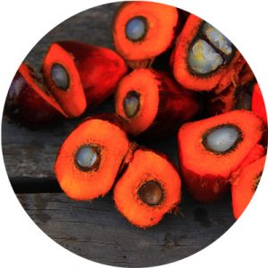 Palm Oil - Chickpea